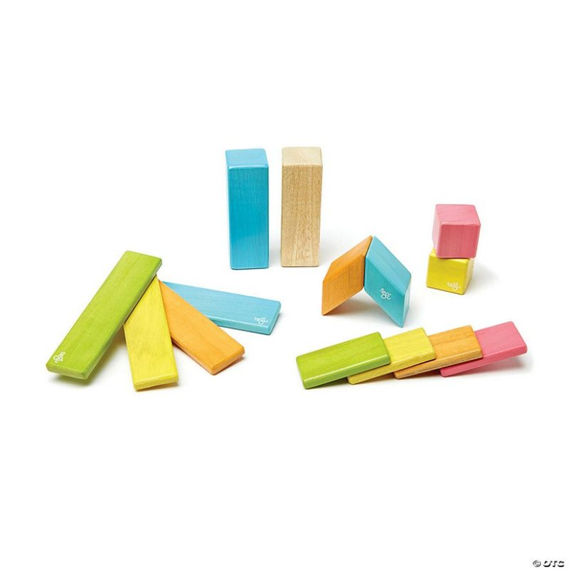 Architectural Toys | Tegu Magnetic Wooden Blocks, 14-Piece Set, Tints Architectural Toys Architectural Toys