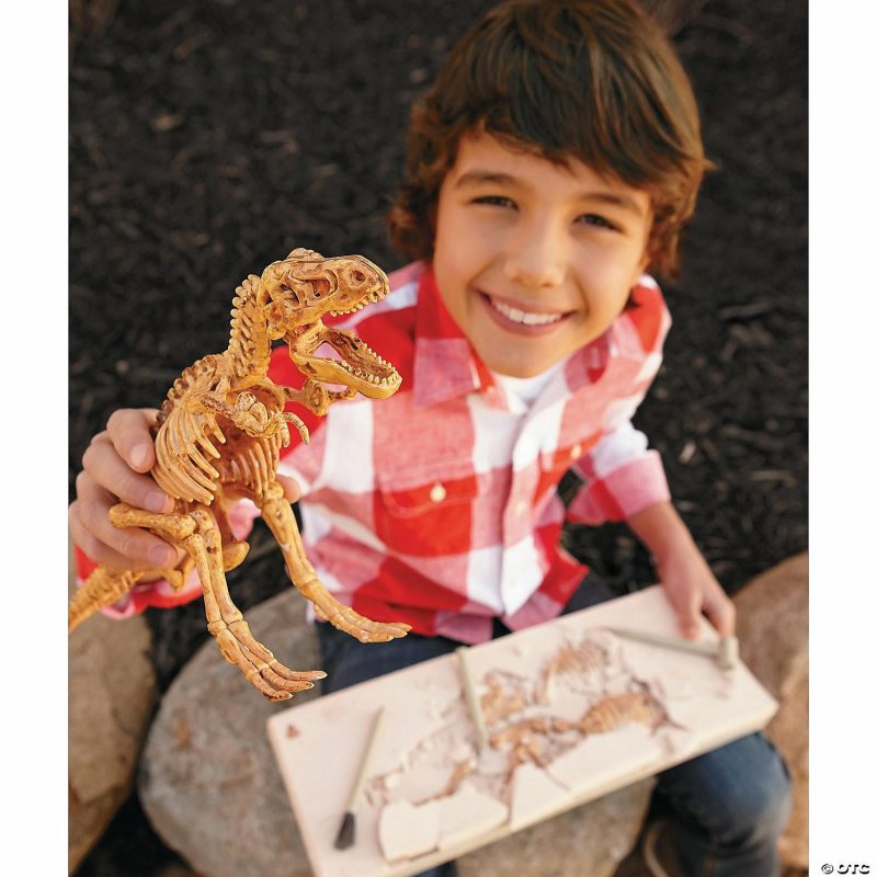 Bugs, Dinos, & Animals | Dig It Up! Dino Model: T-Rex Bugs, Dinos, & Animals Bugs, Dinos, & Animals