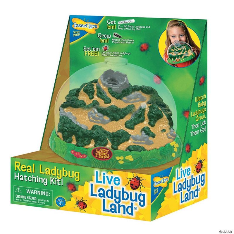 Bugs, Dinos, & Animals | Ladybug Land Bugs, Dinos, & Animals Bugs, Dinos, & Animals