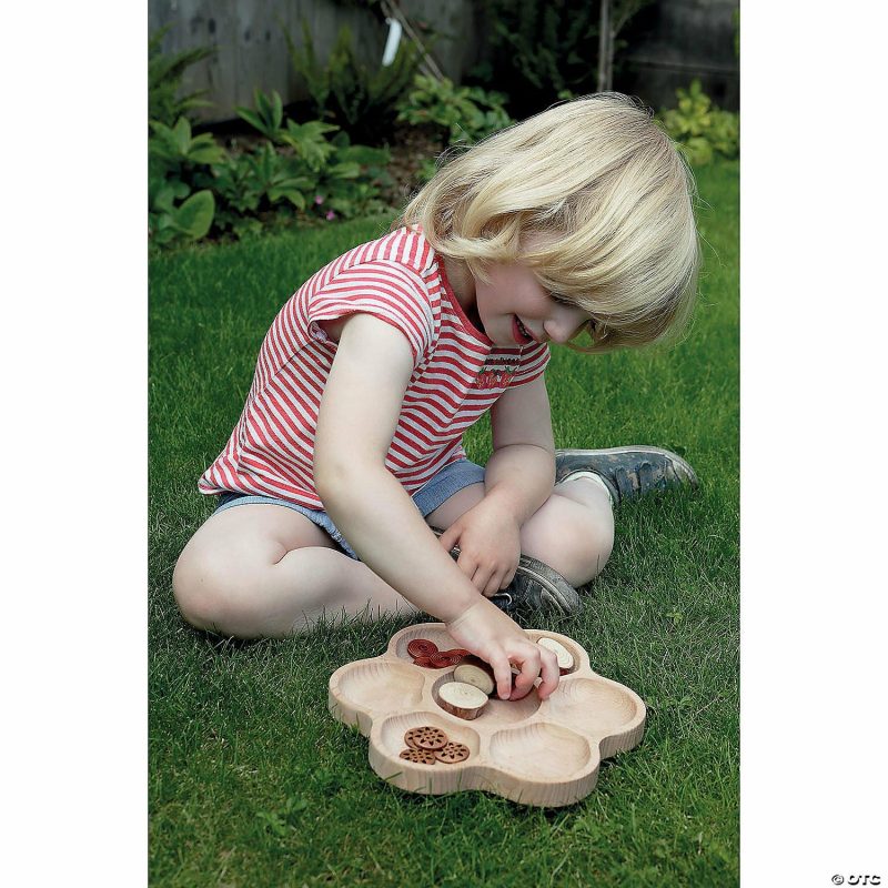 Early Learning Activities | Yellow Door Natural Flower Tactile Sorting Tray, 6-Section Early Learning Early Learning Activities