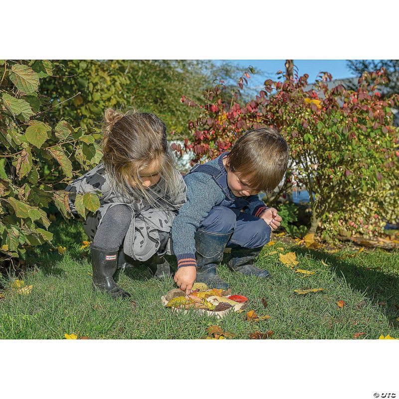 Early Learning Activities | Yellow Door Natural Flower Tactile Sorting Tray, 6-Section Early Learning Early Learning Activities