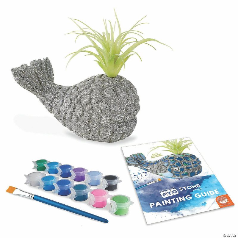 Paint Your Own | Paint Your Own Stone: Whale Creative Activities Paint Your Own