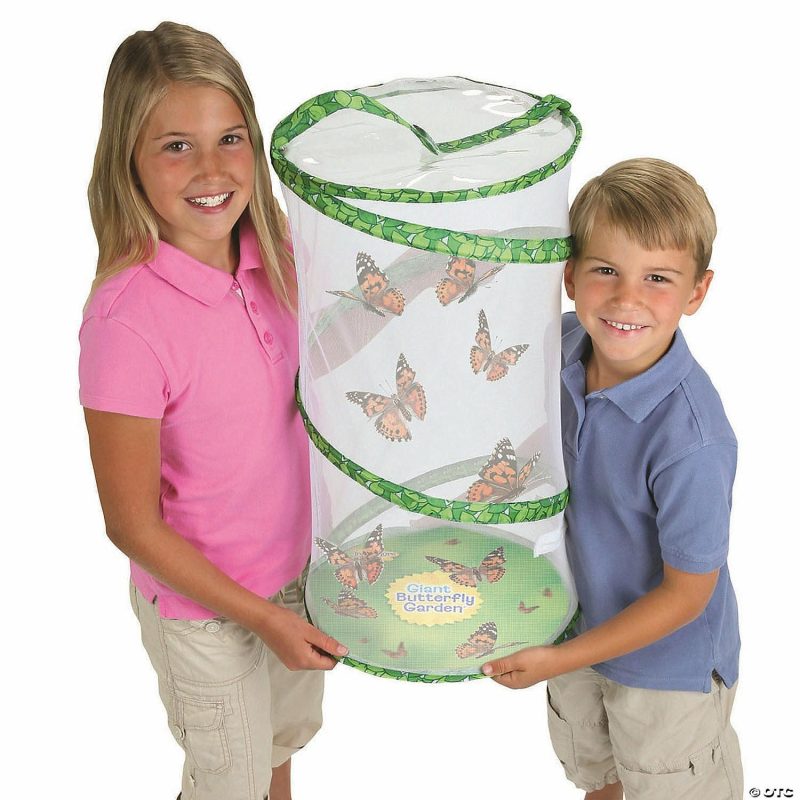 Teaching Resources | Butterfly Pavilion With Free Gift Classroom Resources For Educators Teaching Resources